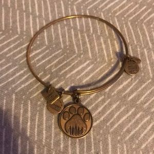 Alex and Ani Bracelet